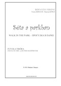 Walk in the Park (for flute trio)
